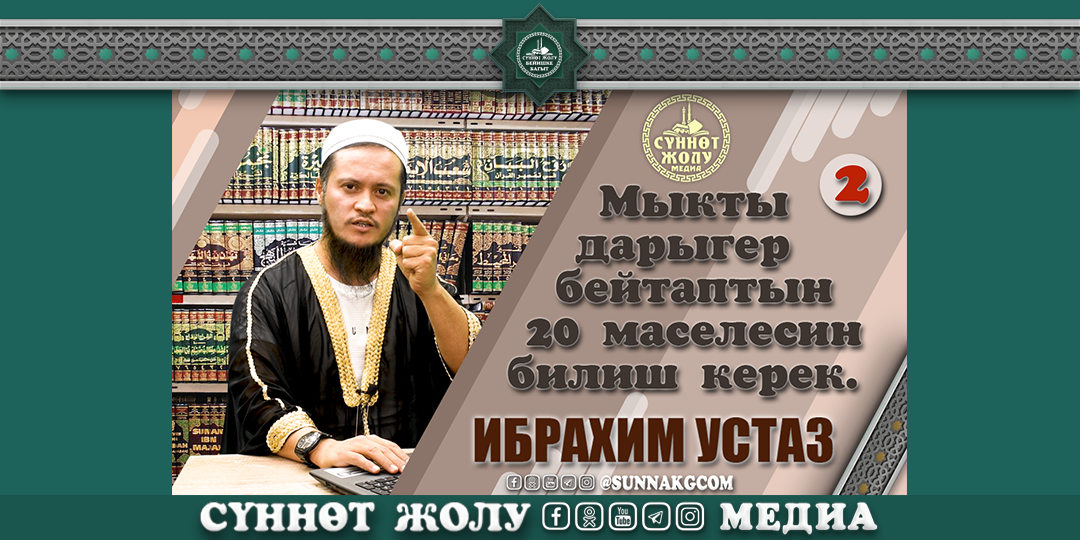 Қынаптар мен есектердің фотосуреттері